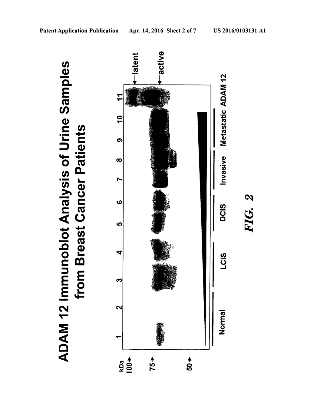 METHODS FOR DIAGNOSIS AND PROGNOSIS OF CANCERS OF EPITHELIAL ORIGIN - diagram, schematic, and image 03