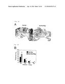 METHOD FOR DETERMINING PROGNOSIS OF CANCER diagram and image