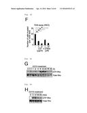 METHOD FOR DETERMINING PROGNOSIS OF CANCER diagram and image