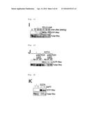 METHOD FOR DETERMINING PROGNOSIS OF CANCER diagram and image