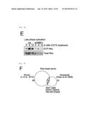 METHOD FOR DETERMINING PROGNOSIS OF CANCER diagram and image