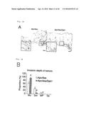 METHOD FOR DETERMINING PROGNOSIS OF CANCER diagram and image