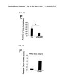 METHOD FOR DETERMINING PROGNOSIS OF CANCER diagram and image