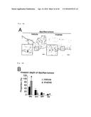 METHOD FOR DETERMINING PROGNOSIS OF CANCER diagram and image
