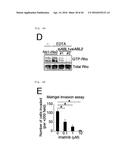 METHOD FOR DETERMINING PROGNOSIS OF CANCER diagram and image