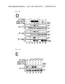 METHOD FOR DETERMINING PROGNOSIS OF CANCER diagram and image