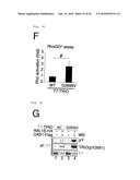 METHOD FOR DETERMINING PROGNOSIS OF CANCER diagram and image