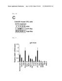 METHOD FOR DETERMINING PROGNOSIS OF CANCER diagram and image