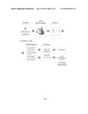 METHODS AND SYSTEM FOR USE IN NEONATAL DIAGNOSTICS diagram and image