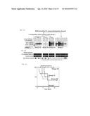 MULTI-SCALE COMPLEX SYSTEMS TRANSDISCIPLINARY ANALYSIS OF RESPONSE TO     THERAPY diagram and image