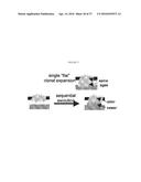 MULTI-SCALE COMPLEX SYSTEMS TRANSDISCIPLINARY ANALYSIS OF RESPONSE TO     THERAPY diagram and image