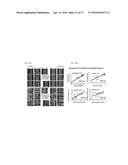 MULTI-SCALE COMPLEX SYSTEMS TRANSDISCIPLINARY ANALYSIS OF RESPONSE TO     THERAPY diagram and image