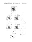 METHOD AND APPARATUS FOR GENERATING SUPERPIXEL CLUSTERS diagram and image