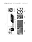 FUNCTIONALIZED POROUS POLYMER NANOCOMPOSITES diagram and image