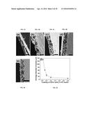 FUNCTIONALIZED POROUS POLYMER NANOCOMPOSITES diagram and image