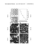 FUNCTIONALIZED POROUS POLYMER NANOCOMPOSITES diagram and image