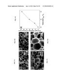 FUNCTIONALIZED POROUS POLYMER NANOCOMPOSITES diagram and image