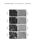 FUNCTIONALIZED POROUS POLYMER NANOCOMPOSITES diagram and image