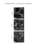 FUNCTIONALIZED POROUS POLYMER NANOCOMPOSITES diagram and image