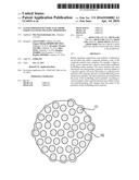 NANOCOMPOSITE BATTERY ELECTRODE PARTICLES WITH CHANGING PROPERTIES diagram and image