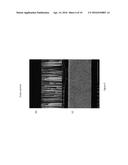 HIGH SURFACE AREA ANODE WITH VOLUME EXPANSION FEATURES diagram and image