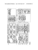 TRANSMISSION TERMINAL, TRANSMISSION SYSTEM, DISPLAY METHOD AND PROGRAM diagram and image