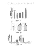 RECOMBINANT NON-HUMAN MAMMALIAN MODEL FOR HEPATITIS INFECTION AND     IMMUNOPATHOGENESIS diagram and image