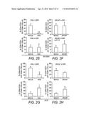 RECOMBINANT NON-HUMAN MAMMALIAN MODEL FOR HEPATITIS INFECTION AND     IMMUNOPATHOGENESIS diagram and image