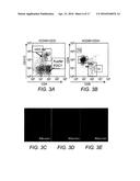 RECOMBINANT NON-HUMAN MAMMALIAN MODEL FOR HEPATITIS INFECTION AND     IMMUNOPATHOGENESIS diagram and image