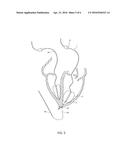 CARDIAC FUNCTION EVALUATION SYSTEM diagram and image