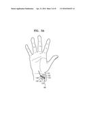 APPARATUS AND METHOD FOR DETECTING BIOMETRIC INFORMATION diagram and image