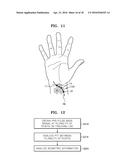 APPARATUS AND METHOD FOR DETECTING BIOMETRIC INFORMATION diagram and image