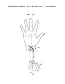 APPARATUS AND METHOD FOR DETECTING BIOMETRIC INFORMATION diagram and image