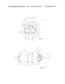 STENT GRAFT AND INTRODUCER ASSEMBLY diagram and image