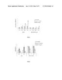 SCREENING METHOD AND SUBSTANCES FOR CONTRASTING AGING diagram and image