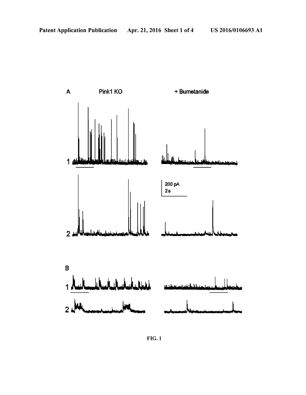 MODULATORS OF INTRACELLULAR CHLORIDE CONCENTRATION FOR TREATING     NEURODEGENERATIVE DISEASES WITH PARKINSONIAN SYNDROMES - diagram, schematic, and image 02