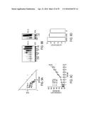 Novel bis-Benzylidine Piperidone Proteasome Inhibitor with Anticancer     Activity diagram and image