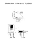 Novel bis-Benzylidine Piperidone Proteasome Inhibitor with Anticancer     Activity diagram and image