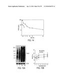 Novel bis-Benzylidine Piperidone Proteasome Inhibitor with Anticancer     Activity diagram and image