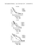 Novel bis-Benzylidine Piperidone Proteasome Inhibitor with Anticancer     Activity diagram and image