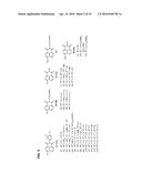 METHODS AND COMPOSITIONS FOR TREATING BETA-THALASSEMIA AND SICKLE CELL     DISEASE diagram and image