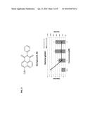 METHODS AND COMPOSITIONS FOR TREATING BETA-THALASSEMIA AND SICKLE CELL     DISEASE diagram and image