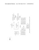 METHODS AND COMPOSITIONS FOR TREATING BETA-THALASSEMIA AND SICKLE CELL     DISEASE diagram and image