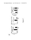 EPIGENETIC MECHANISMS OF ANTI-FIBROTIC ACTION FOR THE LIVER diagram and image