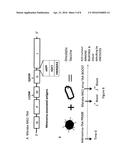 VACCINE COMPOSITION diagram and image