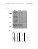 ATTENUATED VACCINIA VIRUS KVAC103 STRAIN diagram and image