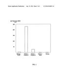 Immunostimulating Polyphosphazene Compounds diagram and image