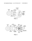 Immunotherapy Using a Logical AND Combination for Immune Response     Activation diagram and image