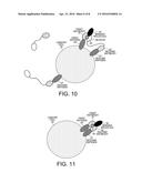 Immunotherapy Using a Logical AND Combination for Immune Response     Activation diagram and image