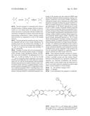 AXL ANTIBODY-DRUG CONJUGATE AND ITS USE FOR THE TREATMENT OF CANCER diagram and image